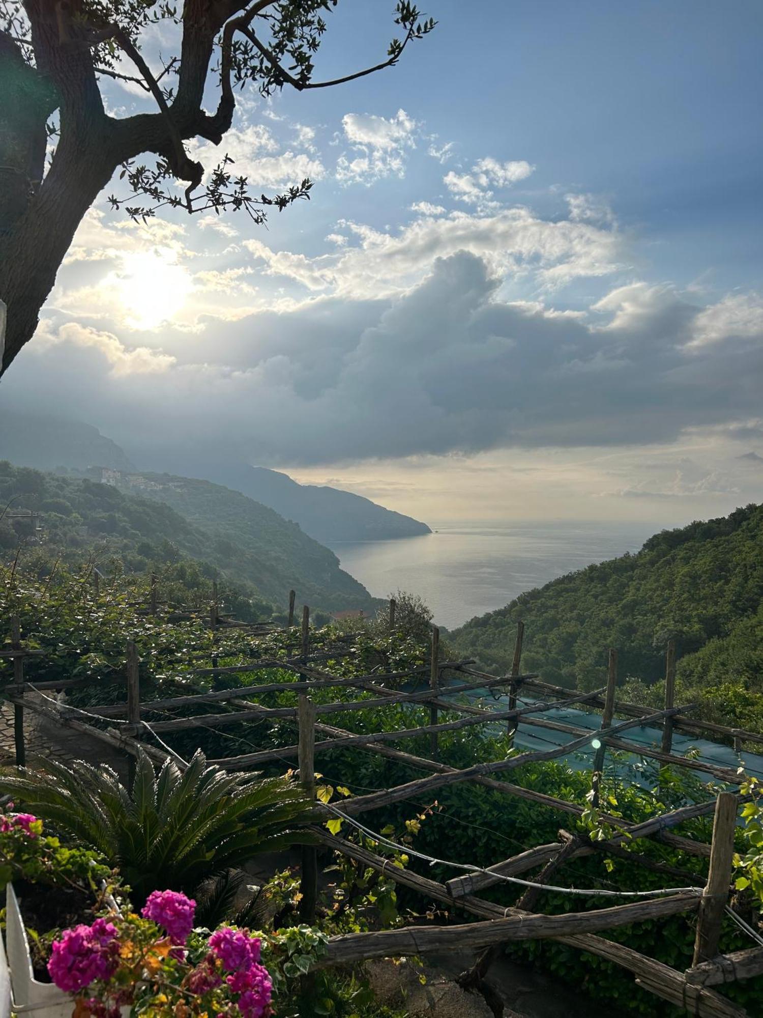 Villa Costanza sorrento Sant'Agnello Esterno foto